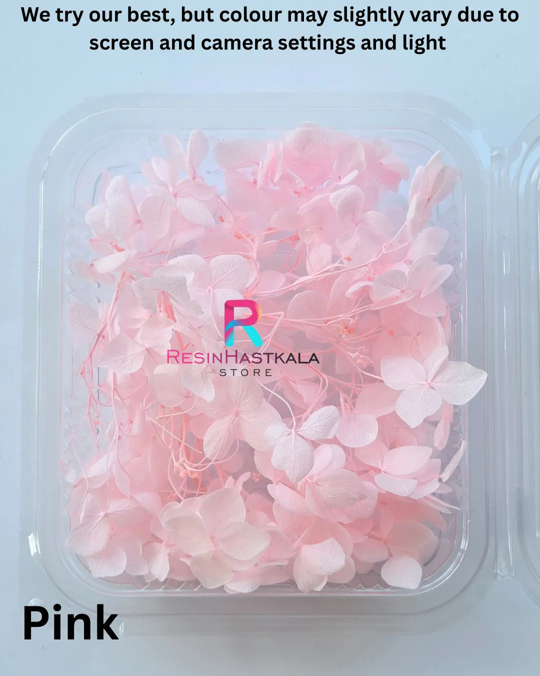 Pink Hydrangea Dry Flower Box