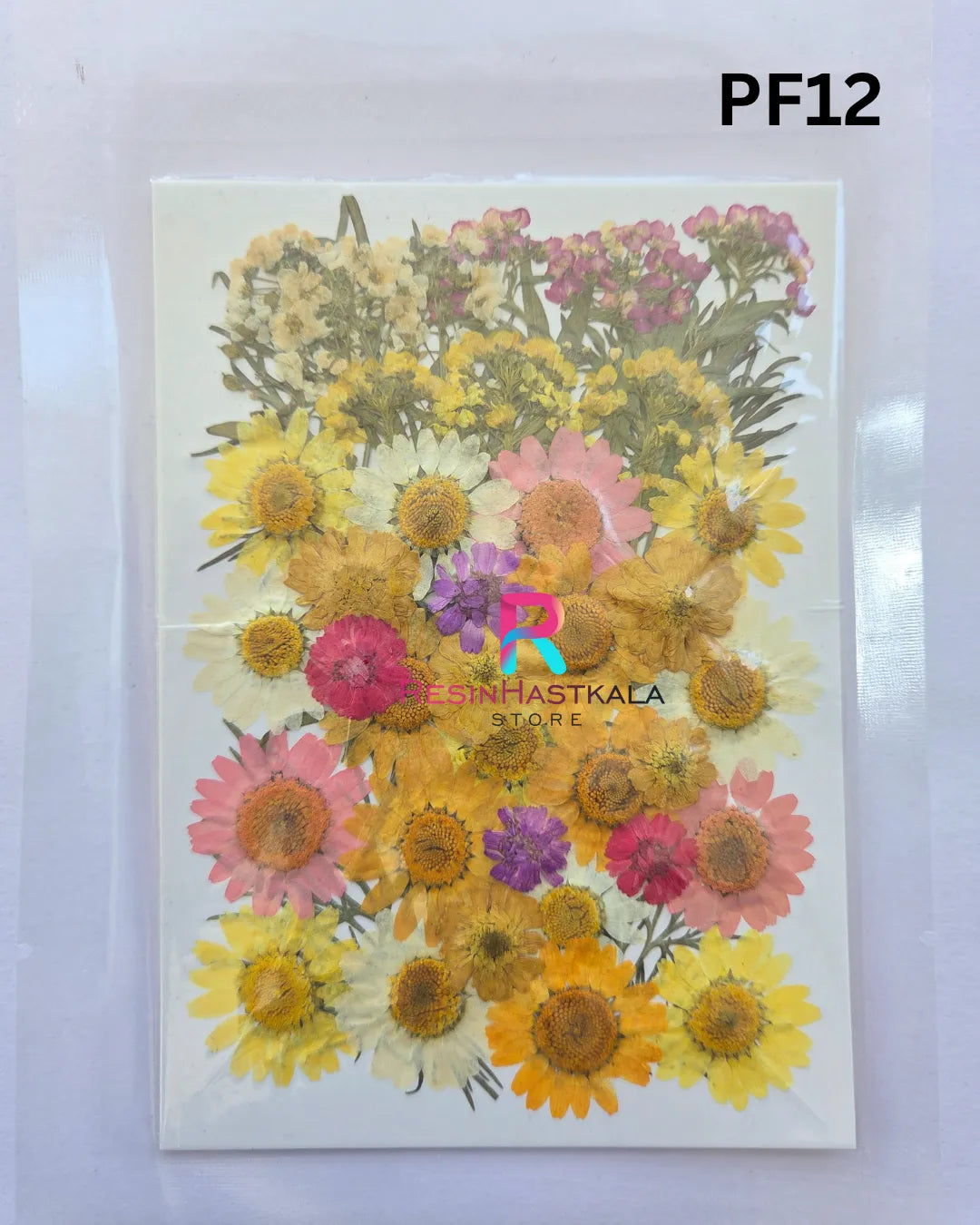 Pressed Dry Flower Sheet – PF12