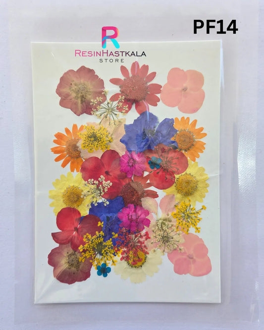 Pressed Dry Flower Sheet – PF14