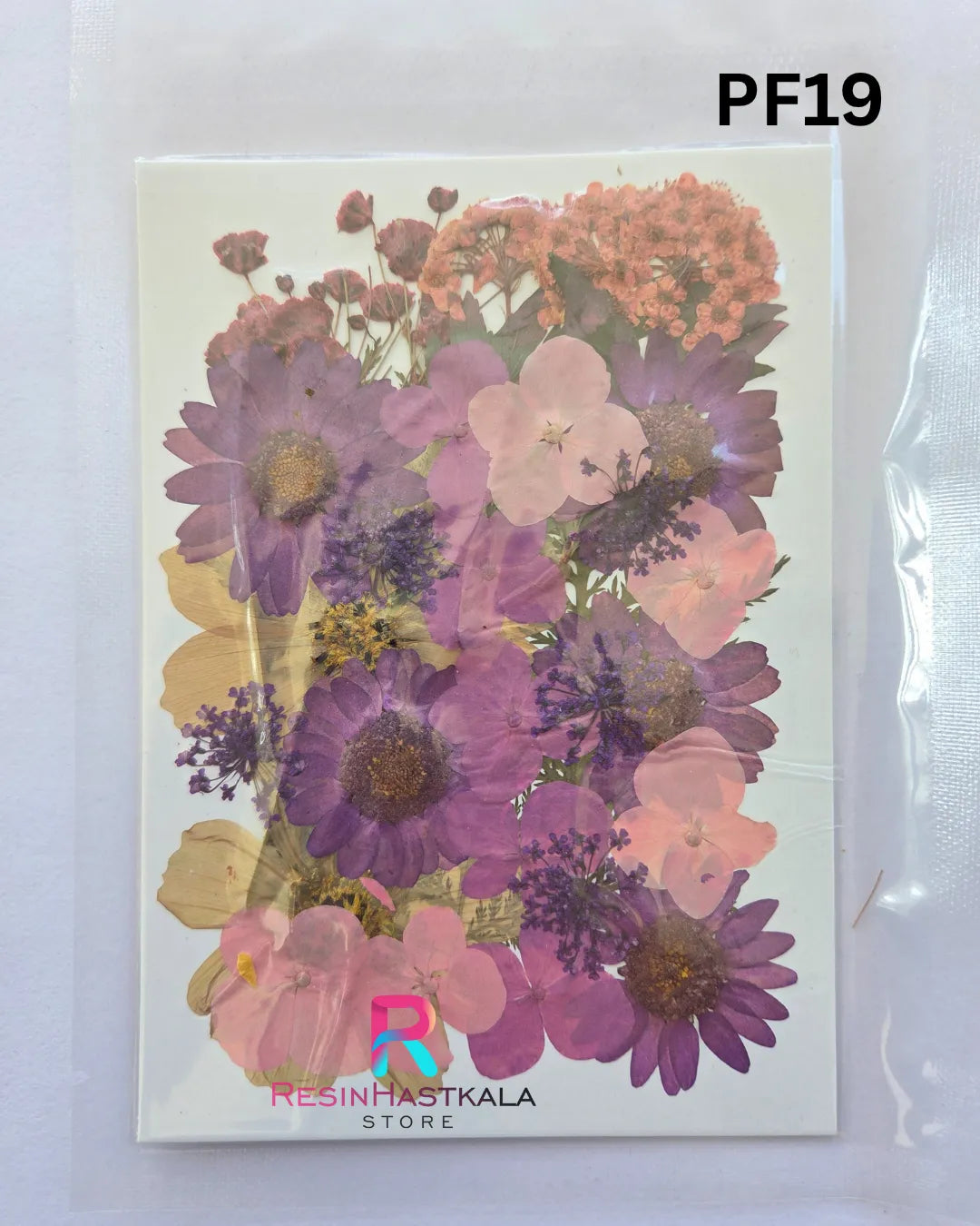 Pressed Dry Flower Sheet – PF19