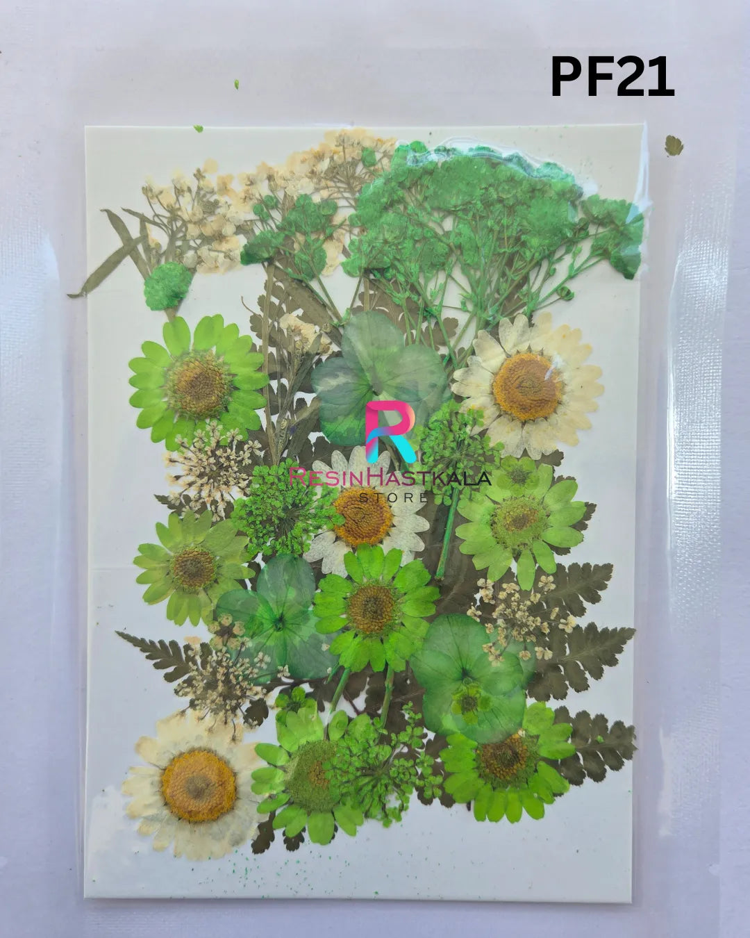 Pressed Dry Flower Sheet – PF21