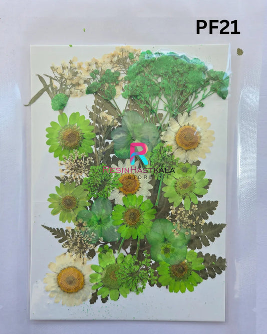 Pressed Dry Flower Sheet – PF21