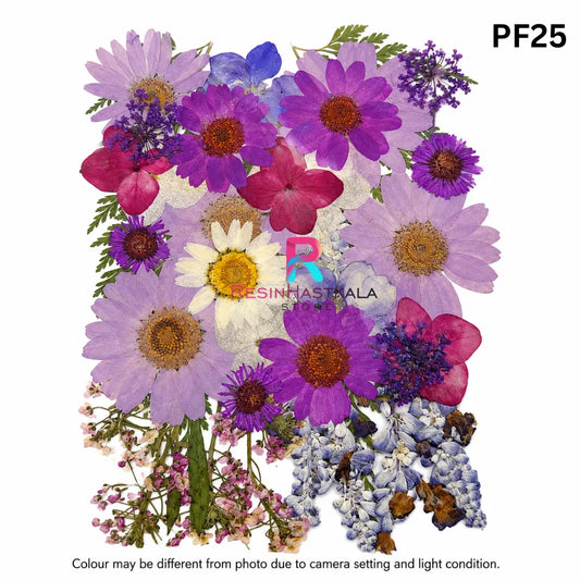 Pressed Dry Flower Sheet – PF25