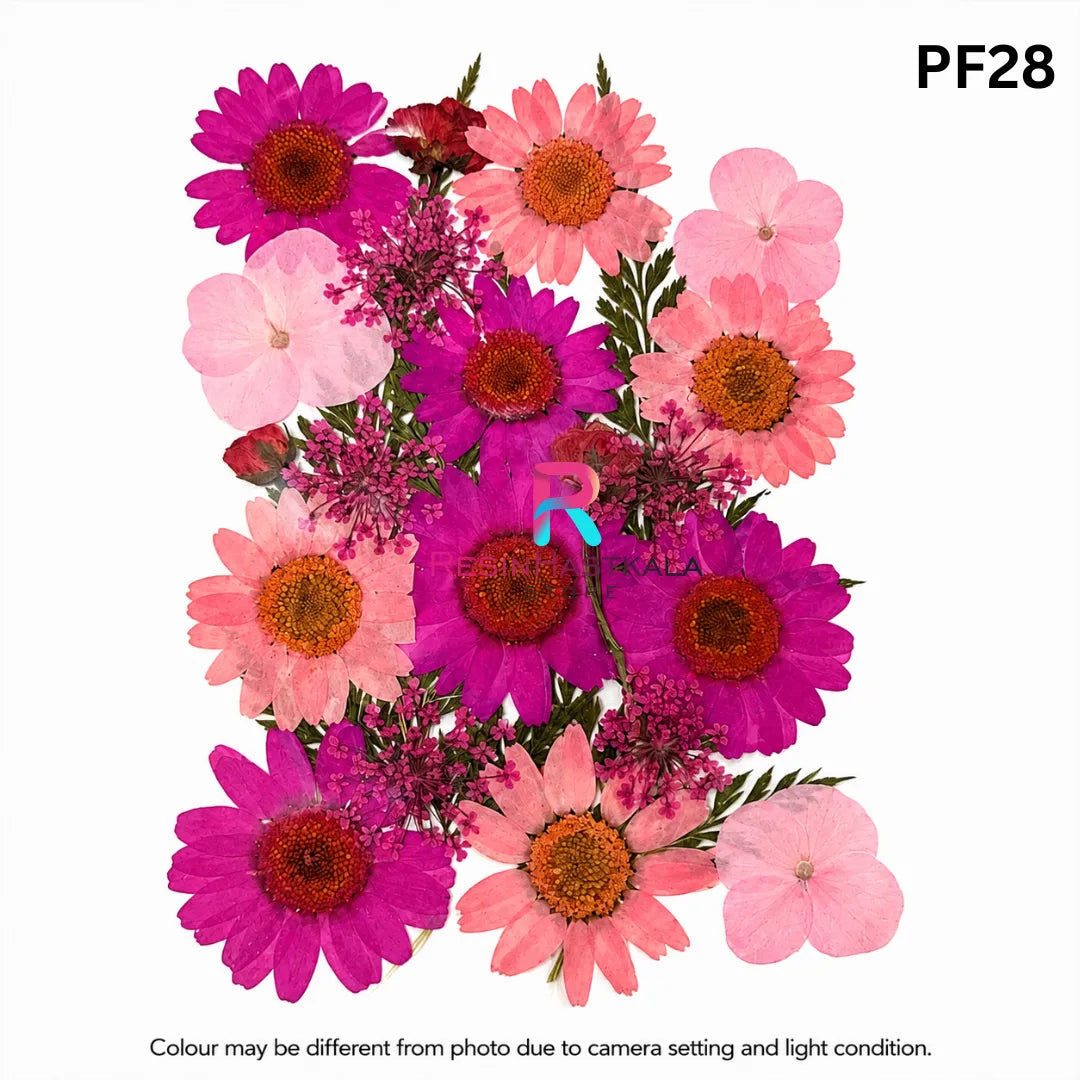 Pressed Dry Flower Sheet – PF28