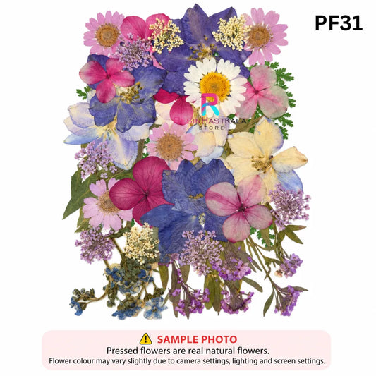 Pressed Dry Flower Sheet – PF31
