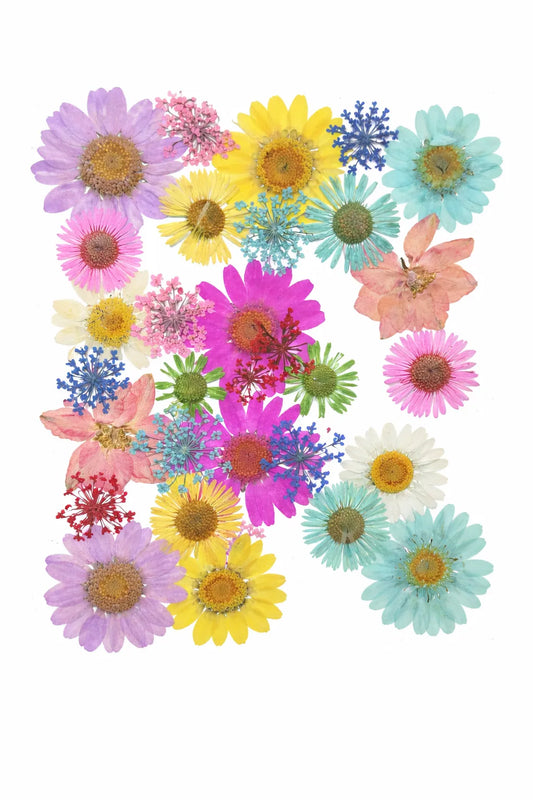 Pressed Dry Flower Sheet – PF15