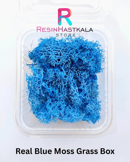 Real Blue Moss Grass Box