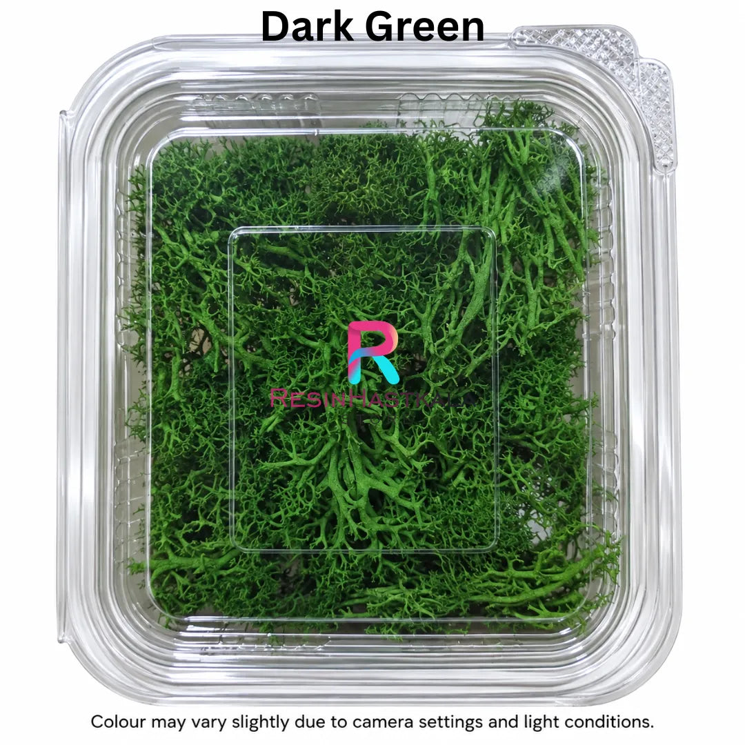 Real Dark Green Moss Grass Box