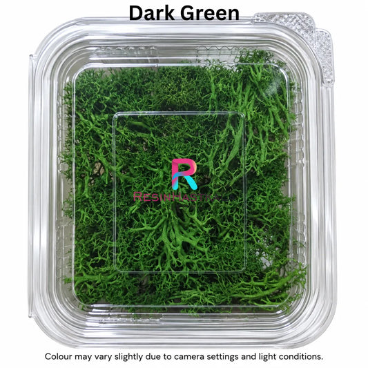 Real Dark Green Moss Grass Box