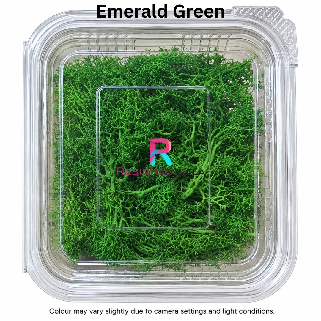 Real Emerald Green Moss Grass Box