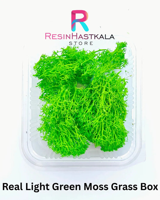 Real Light Green Moss Grass Box