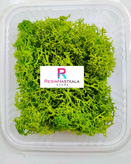 Real Olive Green Moss Grass