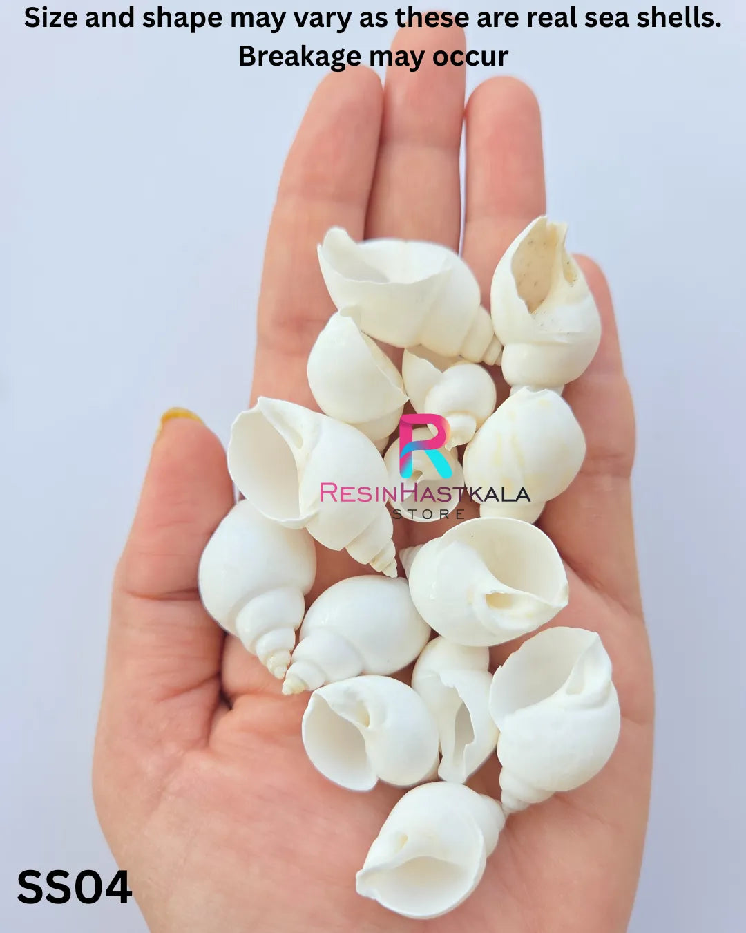 Real Sea Shells for Craft & Resin – 50 Gram Approx (SS04)