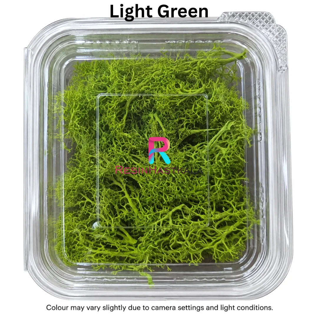 Real Light Green Moss Grass