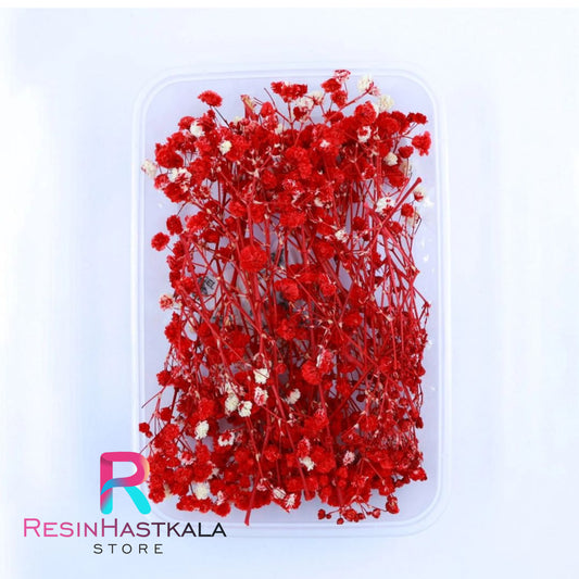 Red Baby Bearth Dry Flower Box B