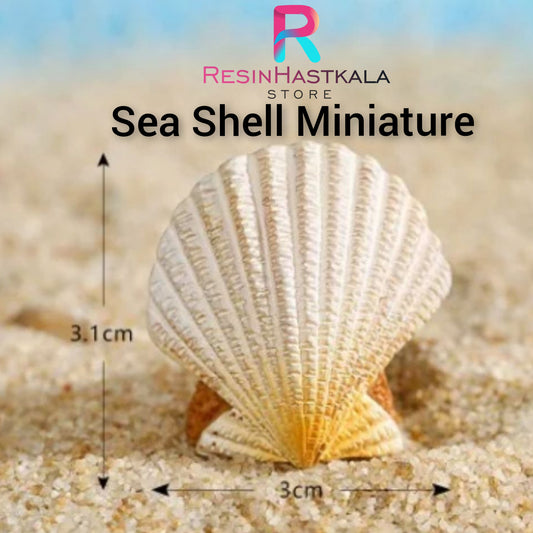 Sea Shell Miniature