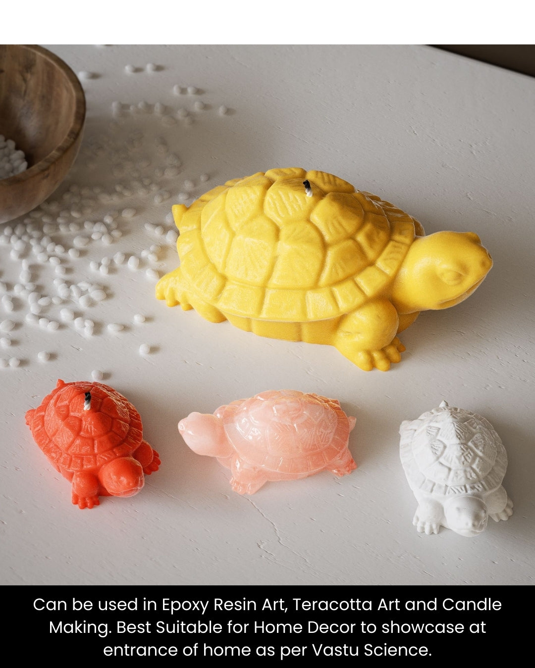Small Turtle Mould