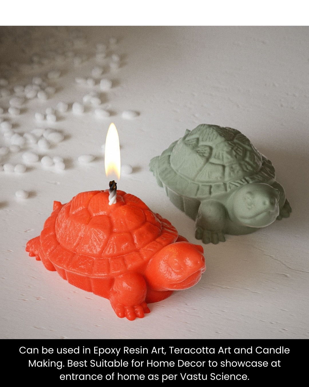 Small Turtle Mould