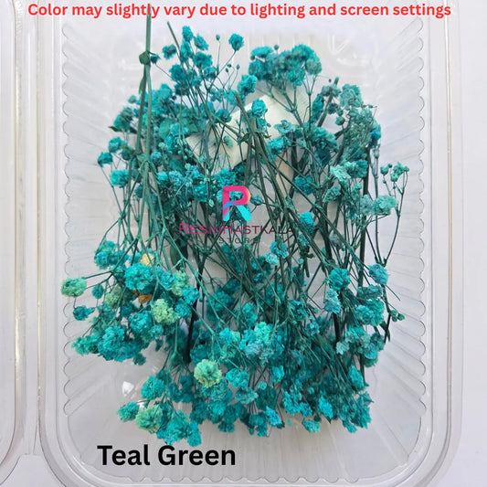 Teal Green Gypsy Dried Flower Box