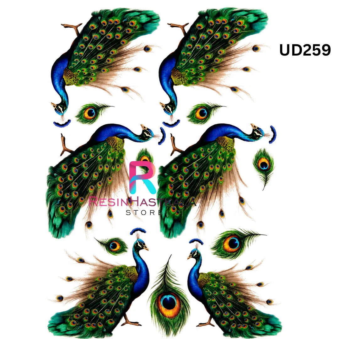 UV DTF Sticker – A6 Size (Peacock Design) (UD259)