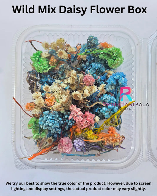 Wild Mix Daisy Flower Box