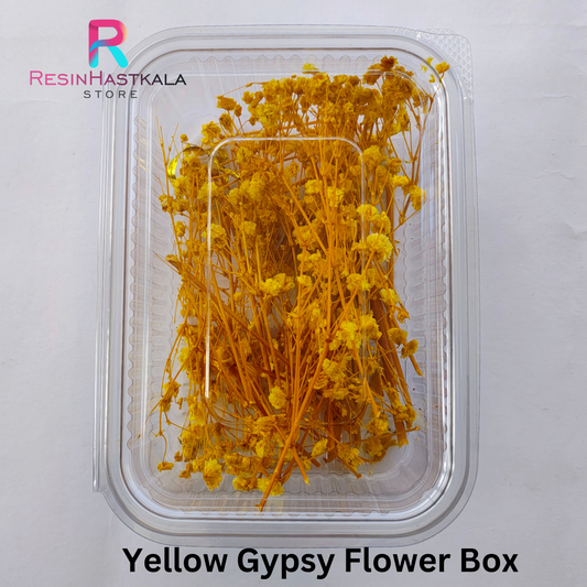 Yellow Gypsy Flower Box