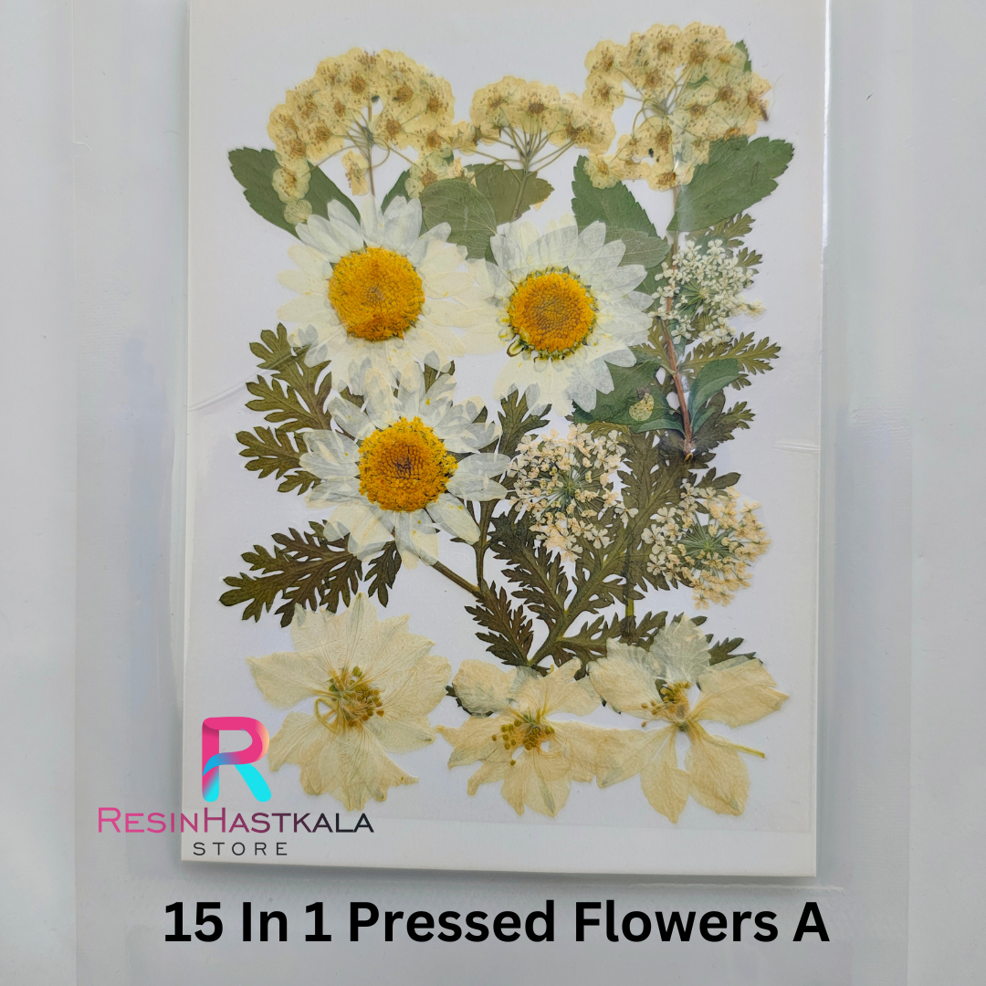 15 In 1 Pressed Flowers A