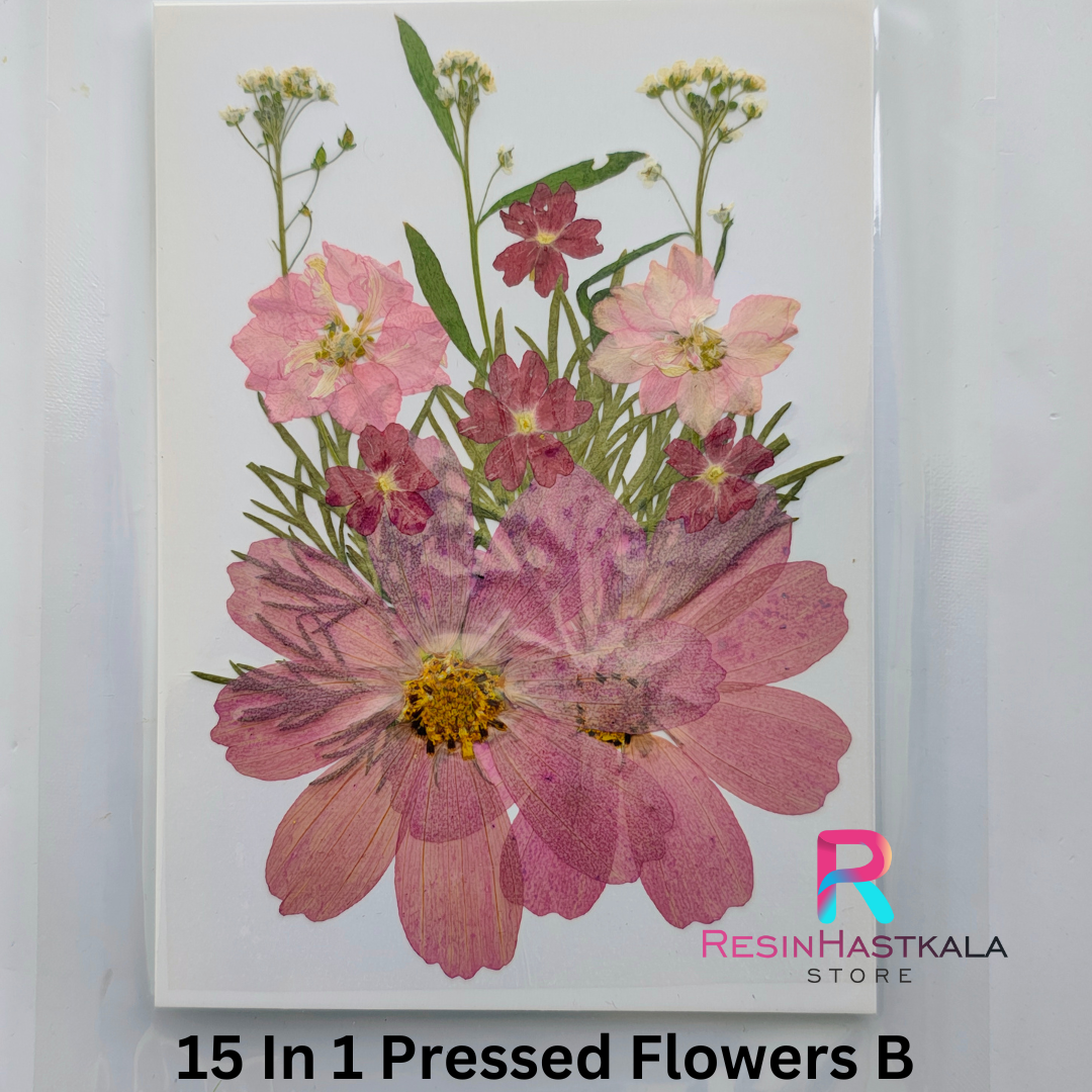 15 In 1 Pressed Flowers B (Size Of Flower Is Different In Every Sheet)